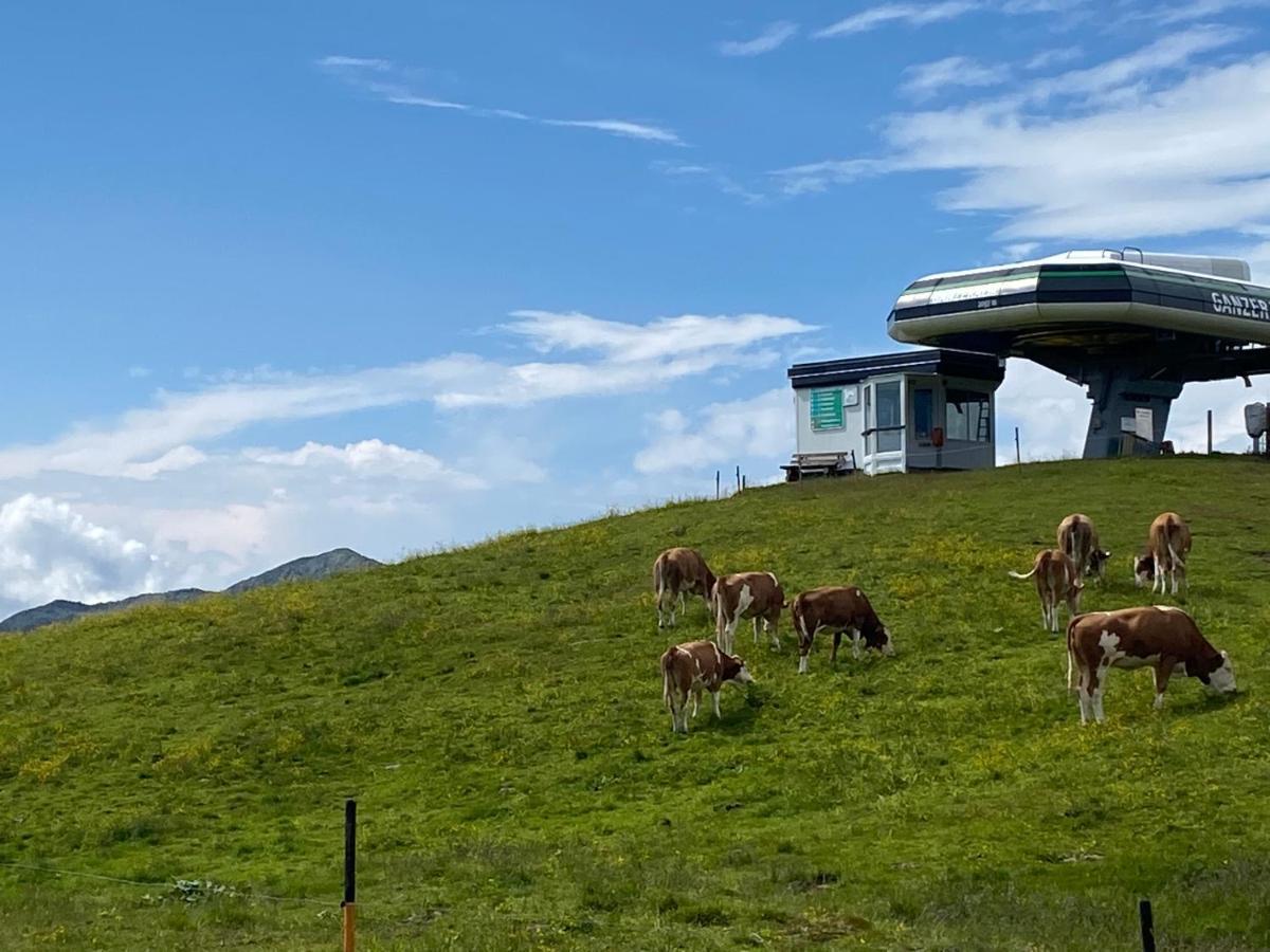 Penthaus Kitzebueheler Alpen Apartment Neukirchen am Grossvenediger Ngoại thất bức ảnh